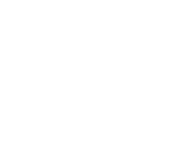 Revolut